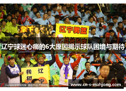 辽宁球迷心痛的6大原因揭示球队困境与期待